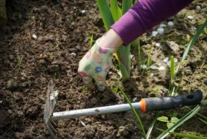 Work In The Yard