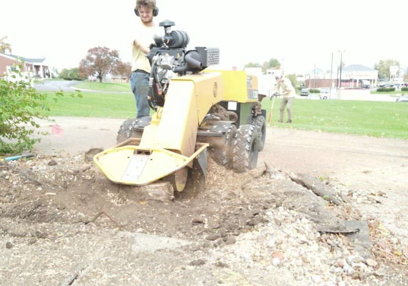 Stump Grinding &amp; Removal Services - Heartwoods Landscaping