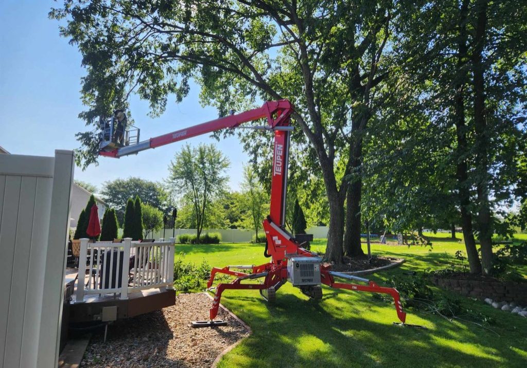 Tree Trimming Services - Heartwoods Landscaping